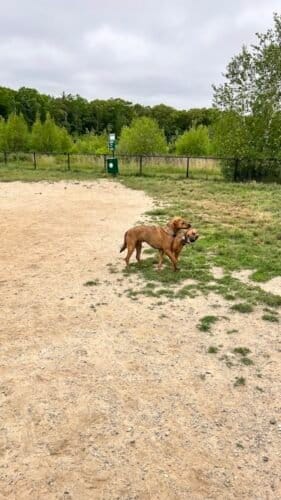 AC9h4npRMlLpQ11lg95sZI7Vr2mziUnVVx1rDX7JHL8xKCh0pLngc8JQWzxrav7bxebuBLOrA JUJWpO y 3Po4AqdkMbWv6PpPg ZWcs8GGzWIZUZ2gOa2UHfExM 8IBjCU2KQJkU7hhgw1600 h1000 k no