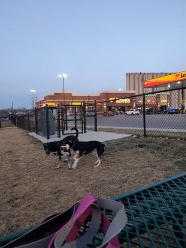 AC9h4npRW2lltBhDQV2wffO7mEkKGjNGW3jOVgX7Oyeq0PvdYm0WfyFRmeAj966UQ3w5I 208wgqVxNAz7N1SA3PcShYnuv Qo425pumSqXkSW4 LeIv9umIIVVXb L8TVWgw8GrGvSWw1600 h1000 k no