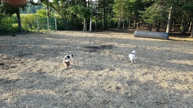 AC9h4npRj vb9e 4GfZtGK epe4xoo5meX5rsUVbrYn4lFzlNzuy1Y9iUvu s37WI6SAlFipc1ARL8wGt36tFWjym3ZjNNTSAWQbrTa8UpJALxheBsGqouK1YU8Tww ZJSSb2B1HIfWk8ww1600 h1000 k no