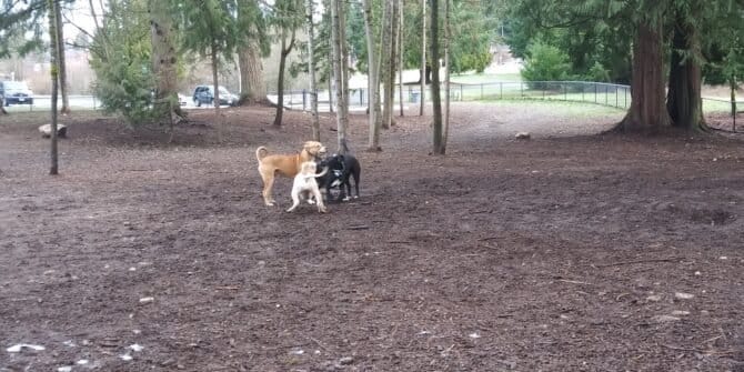 AC9h4npRphz2cRCLMUAG5wFeHjOez wxPLDef7cQ5qr0Us4OHbg1VE8YVaJF3cScnegso8HTwAECF6DH7dk0Oq9ydVnJUOHKS ls iJUgXYBJhALpcm4sbqA26qKmY5wRSEg7MtNMPwYw1600 h1000 k no