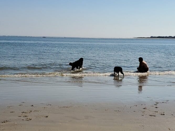 AC9h4npS9Z W6PNCydO7iwQZp4PTcd6YJo nhDNxy dZCTfu92dfGOtlHGH70M84IFh GEpH5Cj8aXSGXlftwMnhO0mf5PqzpUWNLbI4TYR8WR TtZHebV l0AvWJim9stWAFBqW0QUw1600 h1000 k no