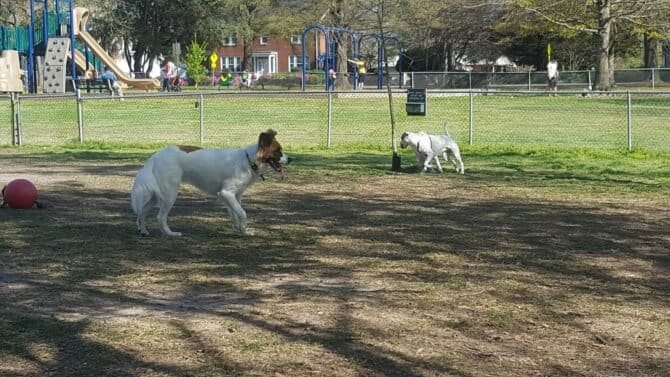 AC9h4npSBifsWjCDXWqrWqjk8Ju UOBtj2tEx1mTMccHl6l OuNkaSAvIKbcUn1MfIHc8GyZXKQoof7hlyS5JbqZD6PgmqPchC5ATl fWYrldxy40eDE7vvYAHZ9t4u5N 0M0O7evza fAw1600 h1000 k no