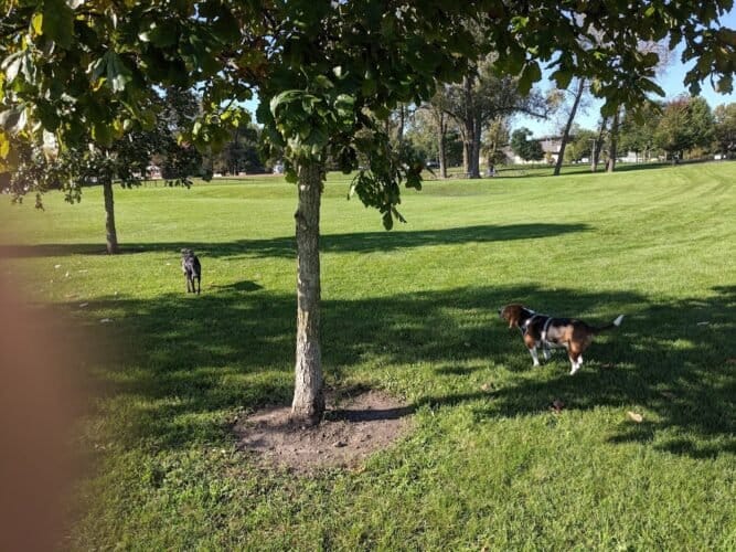 AC9h4npSBkVHFbLTb6r1wiEmPTym3tPJduxeHCZwqKxg05QnY3RTY6rZY3mFkRaUPbkl4quuc5IklVqgl zH9aUGo 82v wG42RofNVT2RuLZ8z1w38HkPYut1Cfbkouygy4EuVIy6kUgQw1600 h1000 k no