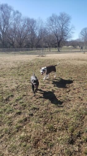 AC9h4npSDL4gu7T7UkHWgUaNByB6X dJIrUwvg3aaMl6eEys4 1mj 36i8boTqevqBUOkVNylmMjyfMcl6vxgN fl2a1ONdYa1ayPCFCWEfIqUo99eOFj24jn1KVYCvuuKOCtS3 L kqw1600 h1000 k no