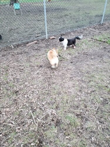 AC9h4npSXojctCOc5C1rq8t ySjanPZ5Y2hTDS3t6AM9IeMg9AL2ri63 gzswS8ueX5obd6UcHQomZhGKyrBYqNPvjFqIaY49Rs95gvR3r5lOoXDau wyrAjnhjA1fwv3 lwiX8AkGUCGgw1600 h1000 k no