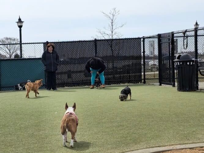 AC9h4npSofWg8G00hupXX9FX twG4j6 r1df5sQ4cJn3I2TaSdd4k8zmEA2A qbsAjRhD3WzVHEv u ctWT7J5RveoJknFwi7oAwT5QIigt1rSwt 38RQFEcmoiF3ogTg1nfXW1CkWcw1600 h1000 k no