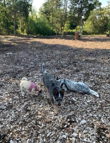 AC9h4npSrRWqe3OPgAhR0v8P1OizJfHi Zox1CPo 99VeGWx Tjkv2CCjuab2aE0Aqqj3Cyik1 zj CEi8 tjoak3BnVAkPg6TqwI0RUyRXcqSymvuO0I Q4QJjo12ukubVJnHa8NHBrw1600 h1000 k no