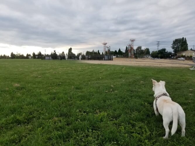 AC9h4npSrftshuxkJ1NW56hJFbziG1 mOYHhbplwWivbD r mletRXTyAKEky02MRn4zSoyhNi AScsqigb8Lrt EpLWIasBMaz2ehM7N8LTDlljBQzYg4kd7NrnIIaztxmuRIY1Byzw1600 h1000 k no