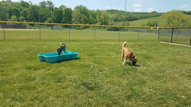 AC9h4npT3F6U2qV9AWkPi4Yx02M omaFTPMmoT5iP ji1ZK H7J7WJk48 kIho3jR7yfox4ABZVfyJK1gT9Xx4lxYClfXOC9yhKyAF525 53Tr1CBCq2Jgu6EbnVvbdyVjzl5L i v02w1600 h1000 k no