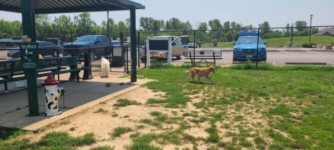 AC9h4npT4pweZNbZh5yc1uvC WzggVXZFgxe7XbEIFcset5mb1FAG5H AW6YQ2vRcYOyJec2hhjOoXHgQsttJ7 dBcG17mO06rjkzmx3TNLrWTePQ1xaPwaZvzuFMdNpStjWw2nyFVrkw1600 h1000 k no