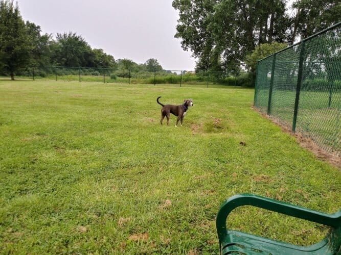 AC9h4npT6jU5fokCU9s4W ROtzypWnzGRatzDMfy4ytXm92Ly4RDgv7463BHzbHB2cXlzCm9XtUEnCxyIxNvqOfUHl3w4nc8zvQGQwUlPIk8y nSbaOJRFbJeXUse8D7ypBitz1mX5QZw1600 h1000 k no