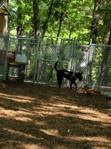 AC9h4npT9DNaVy1qc84HJfC0VrFD24UkWh6sgU1u6UQPpuW1yoDwYUg JKtiIa52nHjSN2yuGVu93TTV00r6ZR JFU3FErZaZl cdVpYnUc8NppXormw6H8FI5CTKsQCyvoIjiHRHwVw1600 h1000 k no