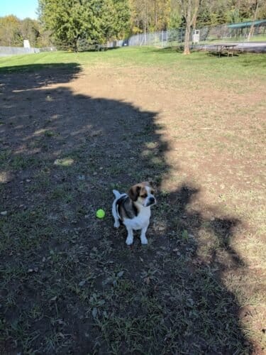 AC9h4npTBlAYynDnAv8rF10Q D7fOywuhSpZLz0zJAmB5OXvCXHhfepYvaviQFmvaSvkOClCVBzy4y2SMzPknQEBk1H 5MethtEFEsF7VOJoLoDtmKz AVcGcmm9y6Y FYjYPDwEZB3nw1600 h1000 k no