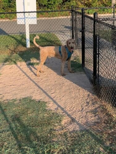 AC9h4npTC l3TOyI3ZWuy vZ 1CSERuRVmsoa6d2aAcaNMOfyC9O V4AMiOmLnaEqhXiLQSZfMp175W3EH7fOJIrf EtgH c2 Q8jL04g rLaF4jpGNGSt1ZMtmWr5Wc973b ofS9Iw1600 h1000 k no