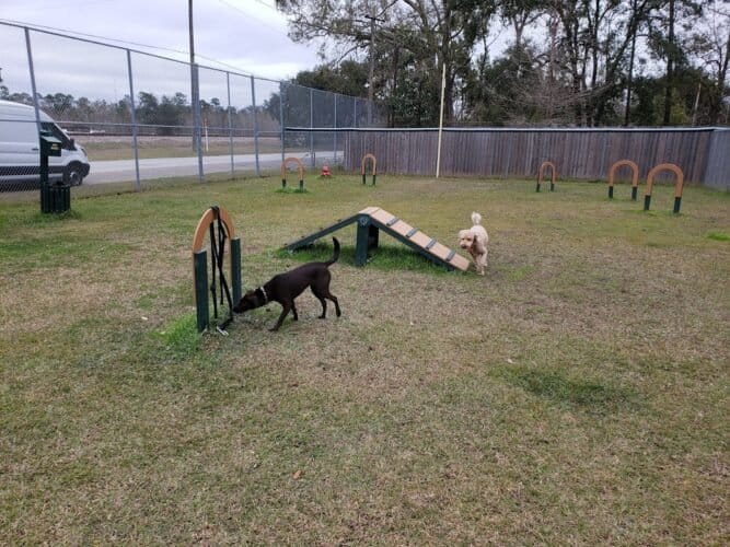 AC9h4npTE5c58kkNS3KDmU2U9TO4 3R15xnBbaf7Ix0aCdZ5fauaWp5KLTxOwXpaxrketVX8OC63Qi6TKoFrSJai1pFLQTyXL1F5VBW4NmvfM z5QHoNULPyC536GBYB9qQopQ9XKmJLw1600 h1000 k no