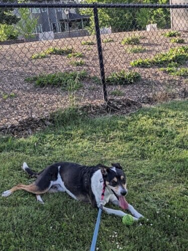 AC9h4npTFFBXZgblp7VOgWSpENL6qmDcvde6450ije1UmEiPHImJjuy18K2xvU Mk9Vc g2z9uDGksiswm9r NP29sVVS KiTRl5zqpcM4Ppz GRKhkqcBWOGAPMgbrIPstXhMjwqHIpw1600 h1000 k no