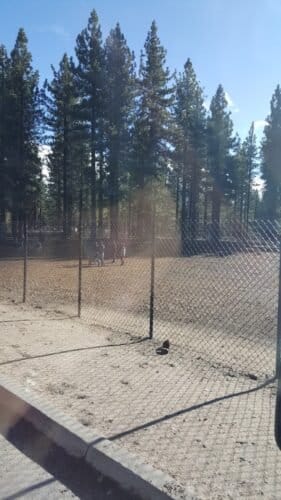 AC9h4npTMPrSO r4EB4 TP5qI7nFpr9Zi39ajlJ9 VXBnlnB DADpKam8qljkJFOBO vKYddZrwxRJtoGm18NlLj4542MdA8l6QE 47iUp65yZmg6mjUJzXhXGEZl82q03CfIiU6n 52w1600 h1000 k no