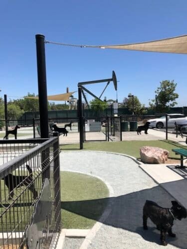 AC9h4npTZ O9C94z5z8zaOpjvOUBTAbN8uf MEv3V3gF1n0Hf6i3xl eDIXGwT7Sxajfl6at8Yts999lNrTqXdisuWjhYMzfuvp3 BLGWbAsNdhNEhNqpc3n3niyJM9 wkMoNqeYBQP w1600 h1000 k no