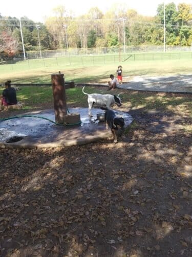 AC9h4npT 2l 4mbymURR wdCdRZZFlwQyc7o1XKJRa vJweWRJFgm0RduLvdgitH BzdGFEv 94cZOV8tKvXtZazYV2 DhX6agNrBQaHnHBeH7Yr4j PxIuniP720DvLoCZXuec 4ocw1600 h1000 k no