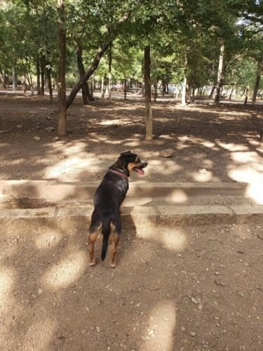 AC9h4npTamYPZorFqnylk8mGNVynZNpza3oHwEuYZrt uw6OEO fIooydaLeSdrZweKbvnPTnpXLtoOUByRFfjKB9trjrOLulbed6 j1zpiaFtiQOO WN0E9GestxvGMEzM57HAM6vgw1600 h1000 k no