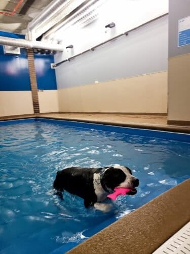 AC9h4npTkLaPrVCA6ddAoZ1exQJhmq3NITyGS 4crVCArviOM79JzXK1nvaSNmdsmWTy5xSlL5HAwhedL3CEJLwwPN34QV5iVCPYACG8JiV08bYs1 P7eAmfFf0HDexYbT9evNJNlw71w1600 h1000 k no