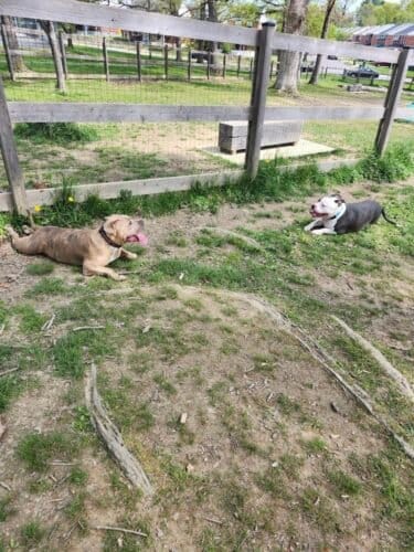 AC9h4npTqAXLZpvXWucWOK4C3n6u1ao5dJ0C6VeM876iV0cCG6w1lxecLvWq5qR17DODCU4tRIAr4qofcIHYTfwziXZ1UtKf10DPLpl2HjshanNFHaByyh7fI  fNV9NJ4jWEHVtpyRBXH acomlw1600 h1000 k no