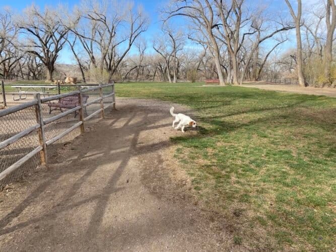 AC9h4npTuspths6XSx9csRMdaZBJEWFGncl9rLwY6MFABPuDQG7w9cIkN4NHTkjTbubJPIYKfcaPD2OCpFvnThgqO4S9CJPfKYyIx54k26L4XrqHwlwbFbgsRW2FQId28djKJ3EY7FcleAw1600 h1000 k no