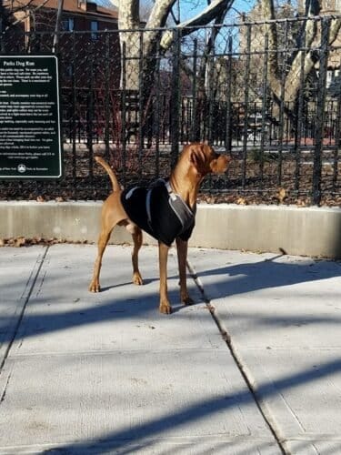 AC9h4npTv4KORYA108xj0RyHGPA0 4co4mnT2Zh73 ikuzJB5u6jqV5YoQAi e0RZHhs 9w9hQVDGJvER aXFXRnTgMh69DMN h8SrbnF6UMMow5VenpupEtJnithhTN0FDVQr3k zBCyww1600 h1000 k no