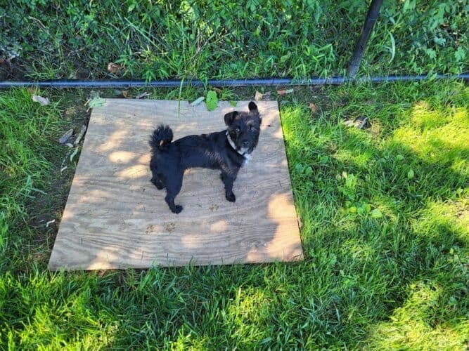 AC9h4npTvauCgJzabGYlUkZsngCacsvBCbUlQpt7S37zWne2Mdz5e7Y1PC4yVei9KUCnv1PaMMCDQZkM0Xx WqXVXVRDUAPcCTsVu4Nzeww1600 h1000 k no