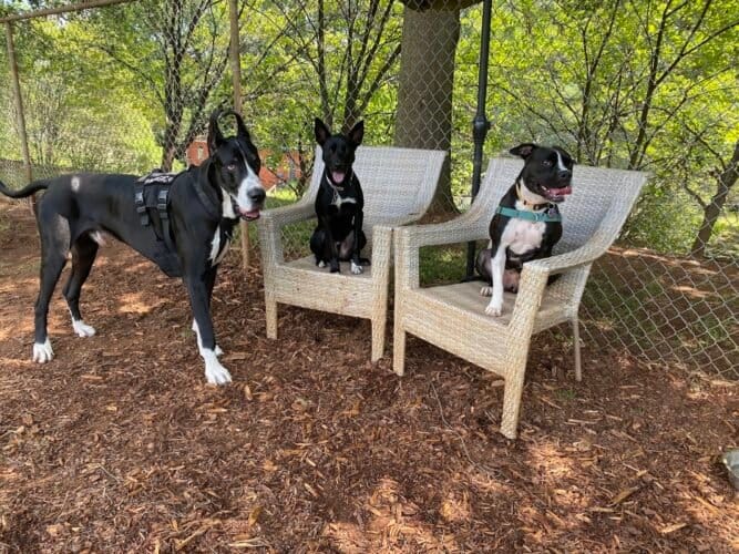 AC9h4npU11VCufubtuoGyVvDjfKLcq91oVPxuZcFfoDpeESwcpqU U9ixaWhBOo7Ga2q8SE35Gs9j0CNTa1nDj2R4Y8AnRjqOTYI UCSa1sw1600 h1000 k no