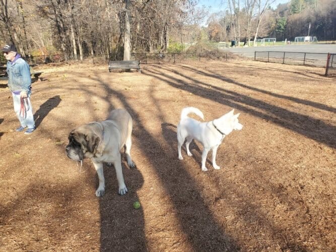 AC9h4npU777QSk43yepIX8EACCtQCNtkBZCf728ElSCj Obk y7xc03VDo 5l rqqp8Nmu1mZM xotjOVICh1kO38CD3TXur1nq6bIFeDSGyb6paNgNJjW9Yw5Dv79NMjZjNtDujgFetw1600 h1000 k no