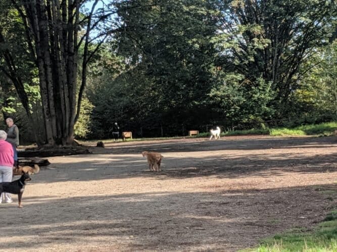 AC9h4npUBa5bOONqJCAEgXKT 292TKXVxhtImJIkYimhj84LtJ5jS za47F mtOISIzaHUQ0rGZoCVoGi iLT kVDG2Iiyi0j46fCDnKw1600 h1000 k no