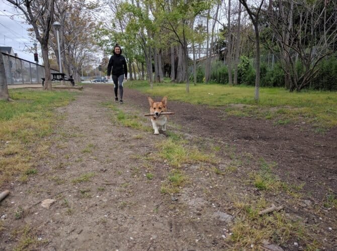 AC9h4npUD03 Cwk4 OZlJfe3OqJD8g1RmS4zX6 DJOQOL ZnySugvmx2al7Meq5JTtEkaIjIVQiFyg9YFTkZurTpLSfIkV8RjoEr64u5ajztmFwLiPFW54rqqbK5QdxpVyzCCsCAxQCdw1600 h1000 k no