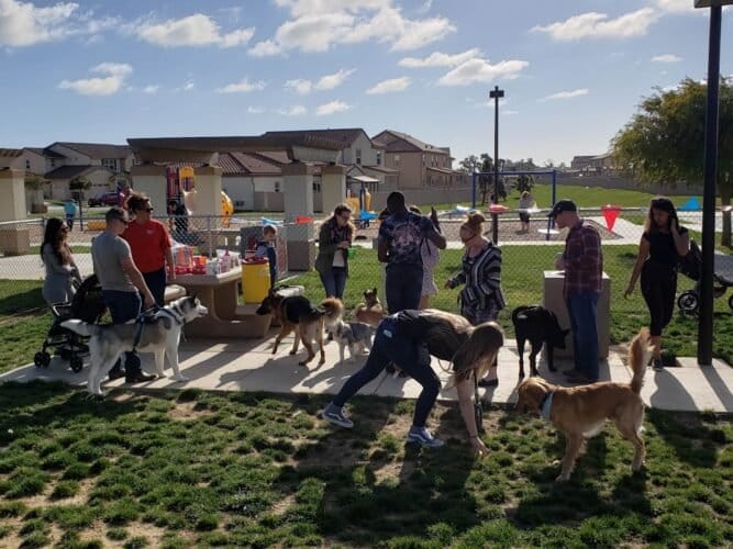 AC9h4npUMt971j4bZU VRs 6PRt9hDv6RvTF6CeLm3leViFTVT6hbBSsiiq5gvwo WpAtQhEsuxSDbbTEizK ewsPLeorgAcoTOx8pfxrclVsQWsVMsskywMQMkMkjZIDoSxsQ9FPkiew1600 h1000 k no