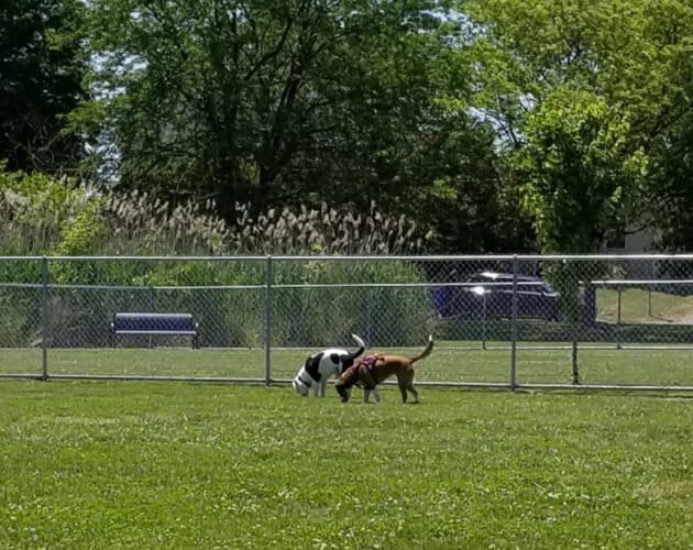 AC9h4npUSr YxTiTsGUestHj Ye Q52OoJVQwD6hGnUtRLYEzmGXMYMp0yVW17hxRePqiwb2qxZww0zkpB1g0eztJVOR YITs8RK42HOyzaSX roPgZq9Eb8R3OabZX bNIIbtAZQMzVw1600 h1000 k no