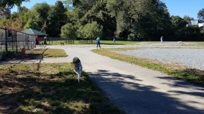 AC9h4npUW BCWqcSbofBs MUriaeUOH58CLH1k5od05rmk HlmNWVpwLV5g7IaI57jOzRfb5XShFUgIxQIqp6gDOTJYDp4sBQMMc3SCCsBgk51rhJvmfTUA WXK n aLipVGC9VQ3xz3zgw1600 h1000 k no