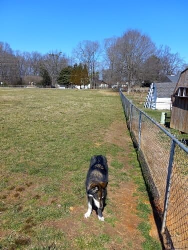 AC9h4npUeKcOr48M8gUClODv u9DA7Zha9HSiIOtQfgrpCz0SKMurJ8kSL1TfXttovnnFprrifTKy2a j2JlBC Ywy9qUBvy1SxQbfq0AwXDMIq9xJoHQqHSu8I1ZycuJ56RRjvt8ACiFQw1600 h1000 k no