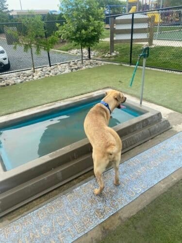 AC9h4npUve3vLM33HIL55O6IZL041UK5iTiX30u1cx7nyRyQYChx snnS6XjiB9sOvKtHYzfXrjIUG5sVD6FNpfEcNCfs4TO401uvemLKRvgyOe1iZDyYmKocuEnIP IZip06tfEXLBpQAw1600 h1000 k no