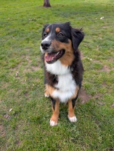 AC9h4npV qsiYj28x2LpisaP7trhYvQCDCZLPX017EMKfHOCf5ucKOmMozuFT76kPhDvEuIXBwdfjeoAYyo4NfJJtZ6WCWDFOefyS6oZr2ZMhRwDPLPMxB3iCxM7II1Zr 2oIbepo9hiw1600 h1000 k no