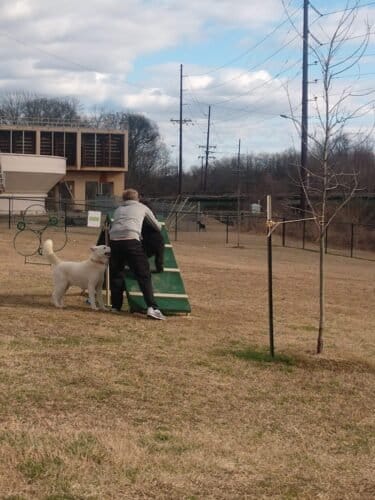 AC9h4npV5fidGqPBSHAMSrjOmTMQ0b5TjjBrl097FQUUHwQth8QIjAcIMV7e17u gVlyVR dzvcdjwe8Gzll1pIQRshnaq08Txre 6AzVKXhPdv3Nwq8pnI2 8f uUn9Tfi2JJ36j99w1600 h1000 k no