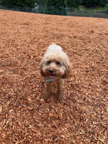 AC9h4npV9NgxF4fIYR1pWrvnJEsYcdZnb JCbdaZHFfcJT MXwZhr0t5c9tm5KQOVXGHlsi1KhqnQQr6Gfl Ju9BDh G8VDQO3WlAZO6u7OsomF dyCnqG83tBoG XtF7qg4DcQJopSSw1600 h1000 k no