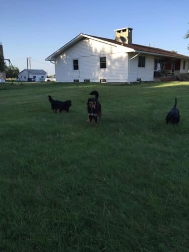 AC9h4npVDm2Y88SexoxZwQhwNc8ulIi tf t9ezPJfBEHeNbc AvHhbi z5lXUT9HYARu13afi1eNyPCZ4BmZIq4tiGLE4xJviU kS0vfmVxhH27NDFkgiG8aMUx5qG4QatMOiCm3rSWIww1600 h1000 k no