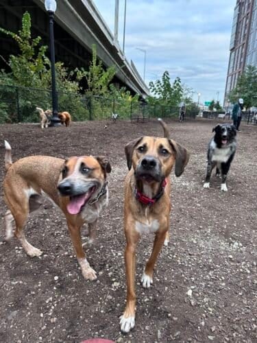 AC9h4npVKAhxoTI82zClGU4HC3fzJKae yYLBcsBZfNzFlS80Ld0lk7QiH4QvpUUWLD2WHgtjb6pC5ESmZqlOk d4d 08WhSxcfjawOTw9N  2AjX4DiDdNMo5jIegIwgzIiPbt824uJw1600 h1000 k no