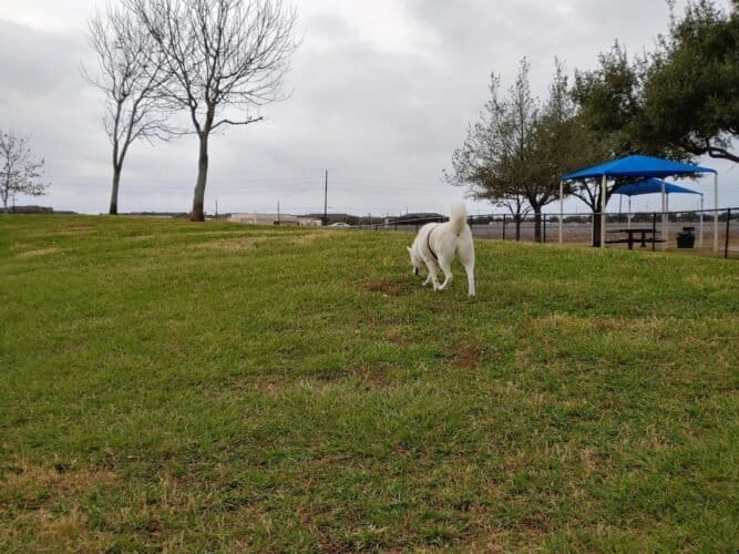 AC9h4npVNs7EV6GFnUVPfy3pNLaKMUh4qd8fzSa9 nr6YPv6sIcUeBLhZ8KLR0BtV JO84E7dur1e6vU6RsP22aVJKmYbtPkWEpyIqXDDi5BtdCadvb5uvtLa06JNRfY9 JKLEutLqpYw1600 h1000 k no