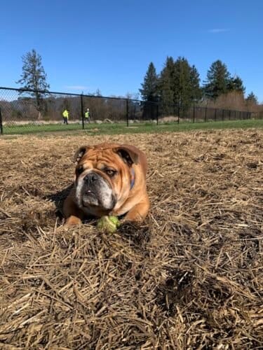 AC9h4npVXWCAuzP4jNGSx2NYruzbGKfc2Tl coH59FzMIFR yPpTClWSBOM2jum07TwQOr V9Co8f5SpABqHk5Tkeeo26xfoCJ3DT9D0SOgng24AEOnmDHdbzAihrm6cPZl9FRA8 UlPw1600 h1000 k no