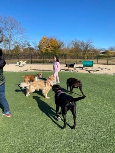 AC9h4npVe85gSZLlhmjnA4SKOxPyubqIMFgyrj7JpSEctDKZ7Zxc KEpCbsgU8nf9UNU9dF1 TpA p PvbvG85NWaXMfcLsJI 8210RE9x6ZjAAkfZzK9TDe7RhxVSa4CbyABPsQC42lrAw1600 h1000 k no