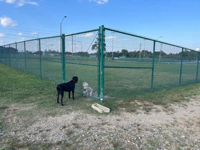 AC9h4npVfsKrMI4u2AUjIu1Oc36G2YycxzRUO1r0cUEQLmwL96Njmag38xNVvhSrkBEEz6 PTH2cXS2iiPRy8dWMo9X0n7QW9Eo4dNNqHQUisAhh2X2yuCU7W2nDMgtof7zMnXNNwWgOw1600 h1000 k no