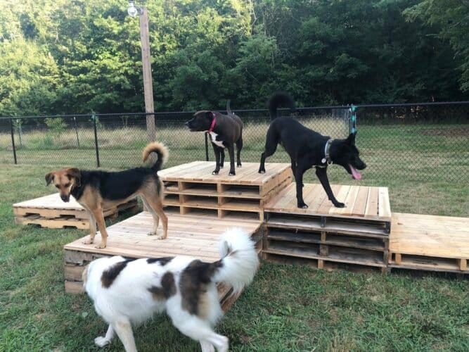 AC9h4npWBiei4PiavXIY1fyd3e7NY3DQWKHCalQd6VZ3TGR yimJqzt PFZ5duO9TD aH2feEg4euAluHx6yvGPk8mNBbIXcowElQJ73yL8ittqmaZqqsEx6nPnuZBq7LFv8b5t6e64tZAw1600 h1000 k no