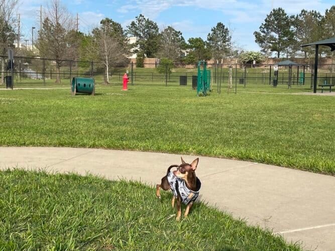 AC9h4npWBpBR0N2eybNNMx6UdZwcQ 8skl5frQpZdQ7KgoE307LEHI   b771OaZgE7dzH a2Nfti39TjPJ9kd0RJlLDNKIMb0Nz eGPQ8lDuhN6AS2PqrEyFi8rbBfoSXPranc0Ou2oeAw1600 h1000 k no