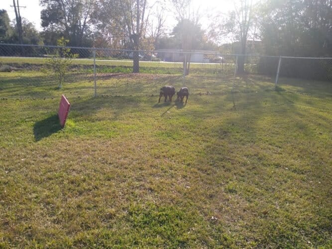 AC9h4npWDnN8MTzBM6V0WyndkaolritH8mpQHCoeCxi TKDj m6Lji4Unt4vKr9nai6IlO59OdX9SH lkguKPnbd4rWZ84KIESQ1HCr4jhS2zqe6S02phoe oULdaQm9t7zfCEYv9E6lw1600 h1000 k no